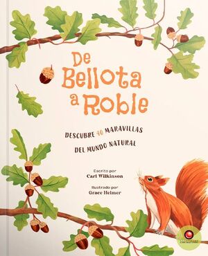 DE BELLOTA A ROBLE