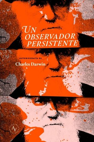 UN OBSERVADOR PERSISTENTE